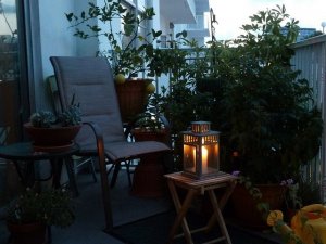 c796b551f01cfd9ef187be5d9fe03e10