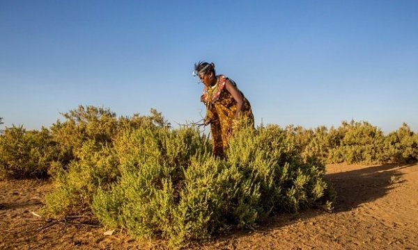 b6fc429b-b99a-49c3-ab60-3de05f0c6fcc-2060x1236